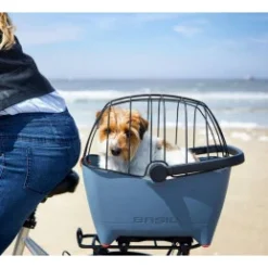 Basil Buddy Dome Bur Bur Til Basil Buddy