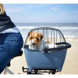 Basil Buddy Dome Bur Bur Til Basil Buddy 1 Basil Buddy Dome Bur Bur Til Basil Buddy