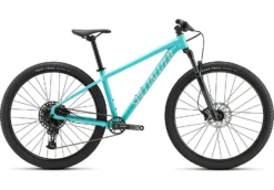 Specialized Rockhopper Expert 29 Gloss Lagoon Blue / Satin Light Silver - L