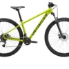 Specialized ROCKHOPPER 29 SATIN OLIVE GREEN / BLACK - S